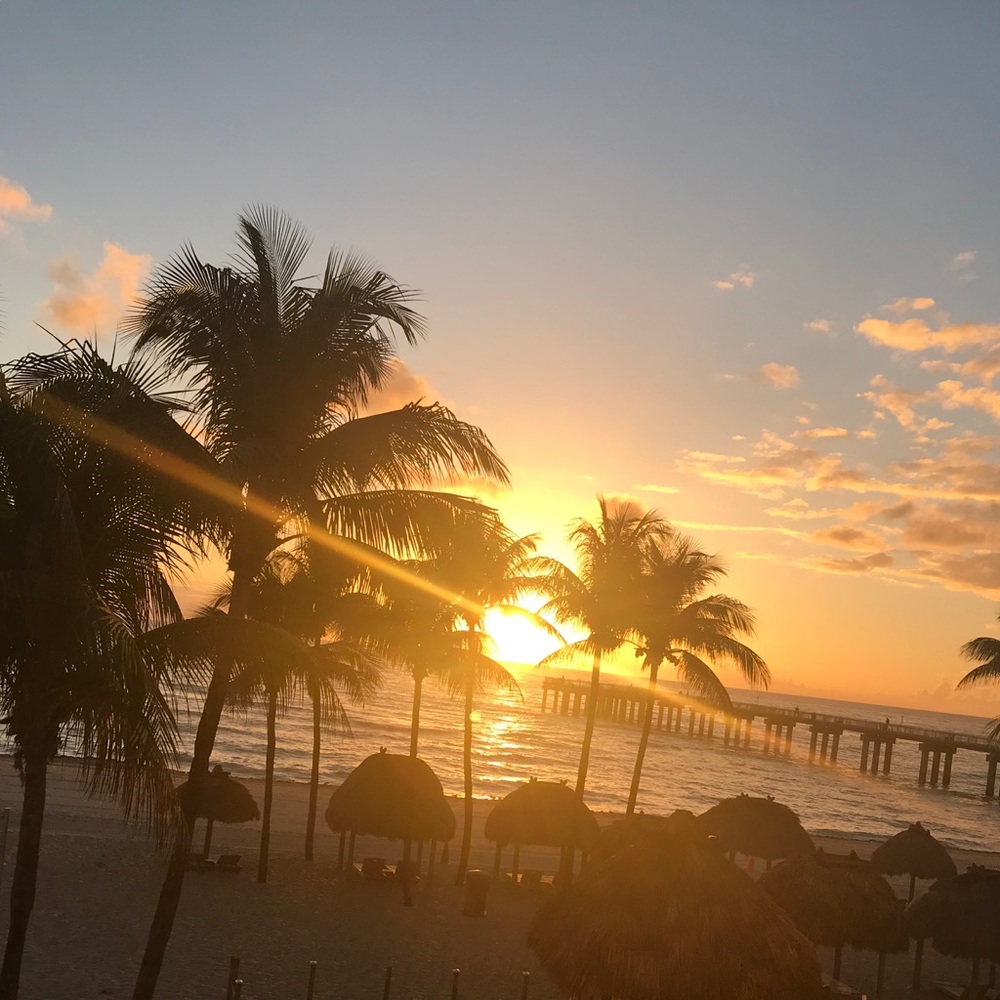 Meet your Posher, Jan